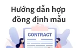 Hướng dẫn hợp đồng định mẫu